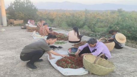 乡村振兴工作动态（第172期）