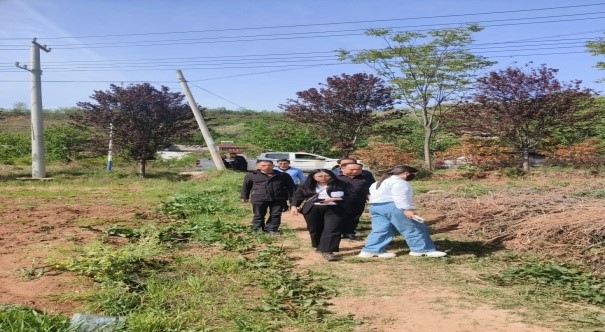 乡村振兴工作动态（第168期）