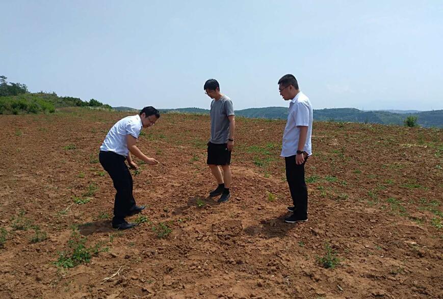 1562298564127804.jpg 1562298564127804.jpg