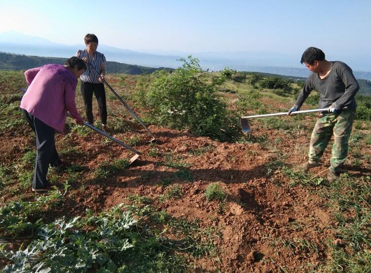 1562298627925269.jpg QQ截图20190705115159.jpg