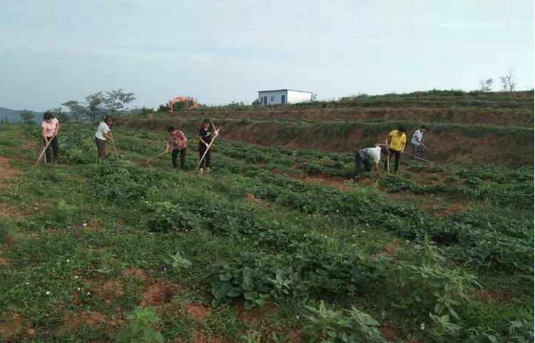 1565085504706022.jpg 1565085504706022.jpg